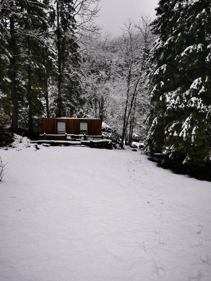 Skalca Vila Kamniska Bistrica Exterior foto