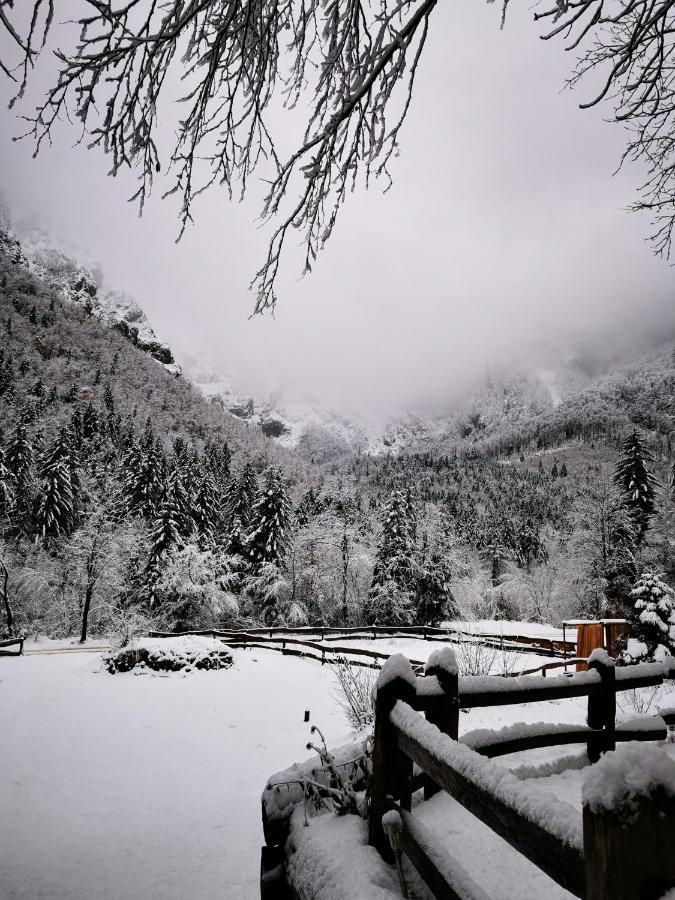 Skalca Vila Kamniska Bistrica Exterior foto